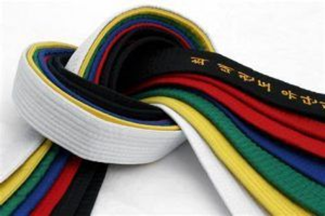 Replacment TAGB Coloured Belt Junior 150
