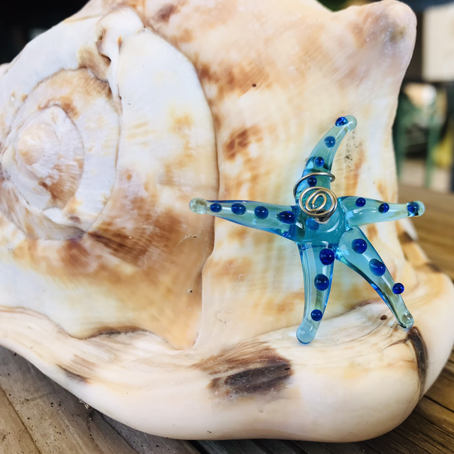 Üveg tengeri csillag