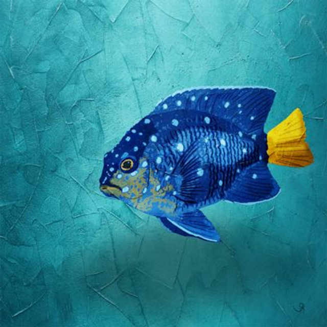 Carré B.-  Eclair Bleu