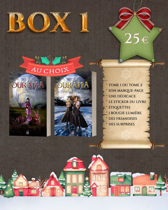 BOX de Noël - 1