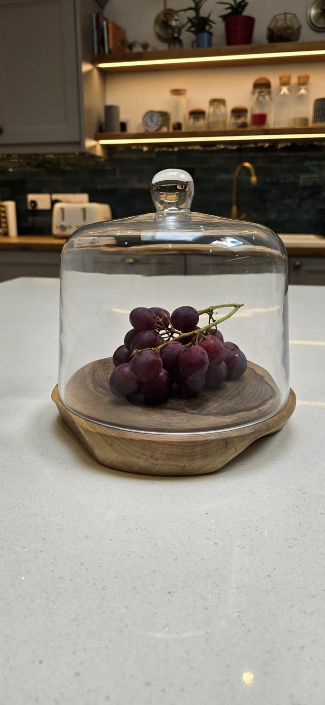 English Walnut cake dome.