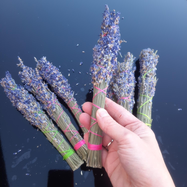 Lavender Smudge 