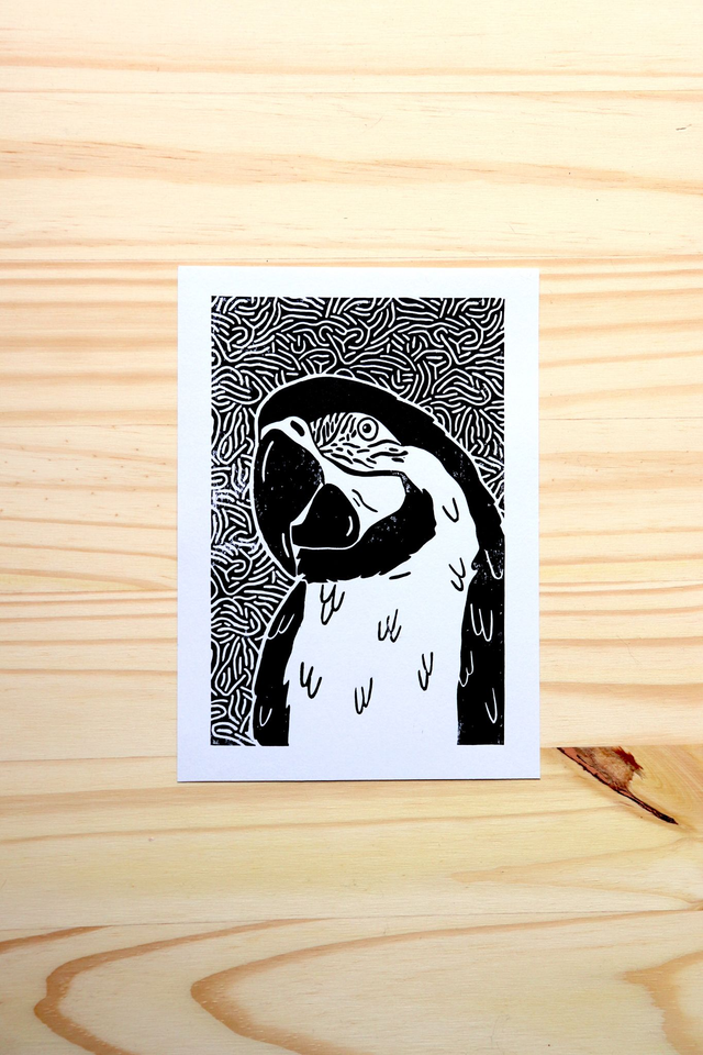 Linogravure A5 Perroquet Ara