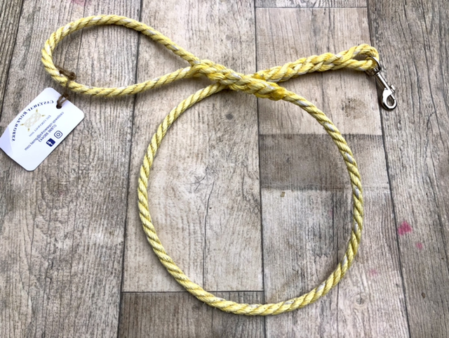 Dog Lead  - Coverack