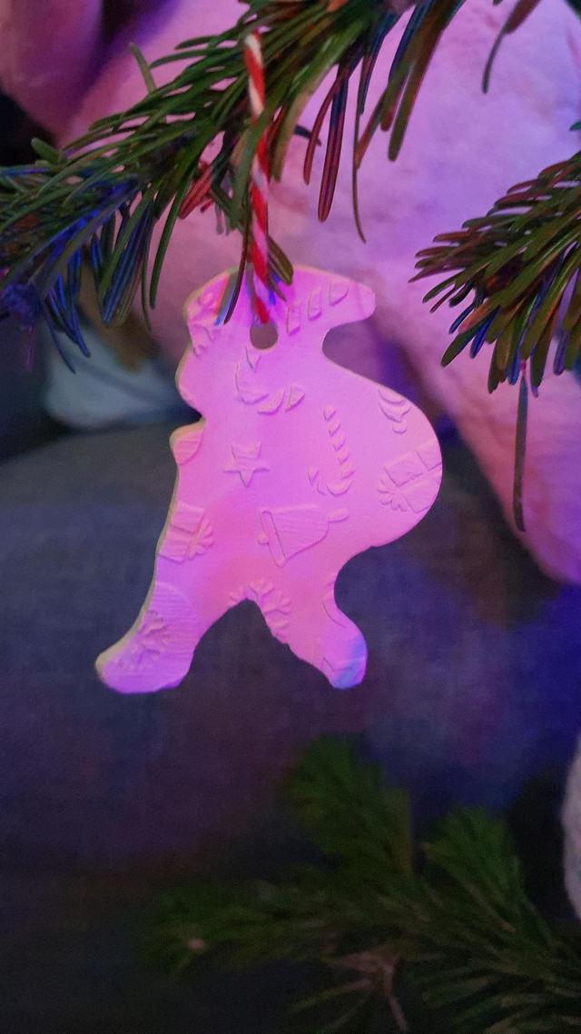 Santa Xmas decoration/present tag (paintable)