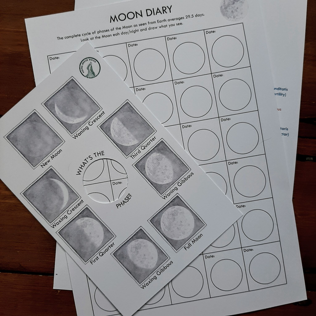 Printable Moon Nature Study Bundle (Digital File)