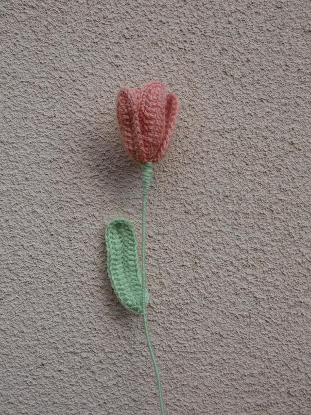 Tulipe abricot foncé