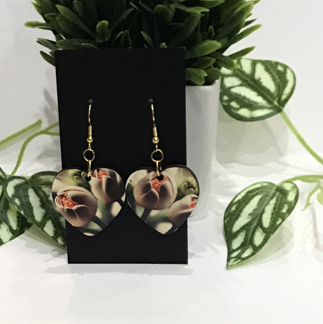 Wood Mix Coloured Dangling Earrings- MSDE55