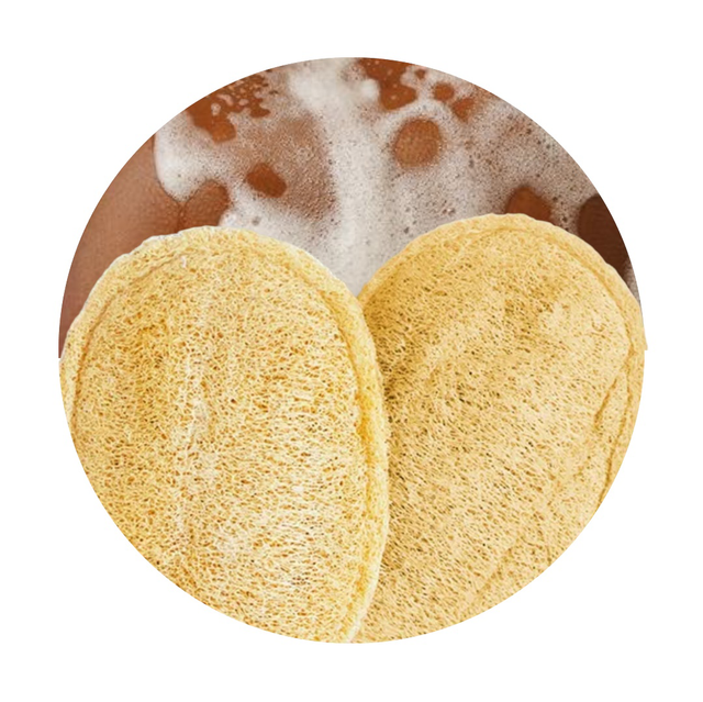 Éponges exfoliantes en Luffa 
