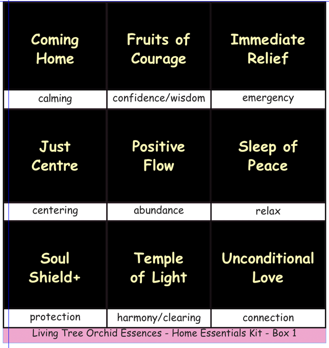 Home Essentials Kit 1 - 9 essences