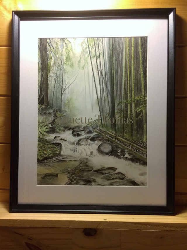 01.- Torrents et Bambous