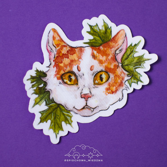 Kot "Klon" | ZWIERZĘTA