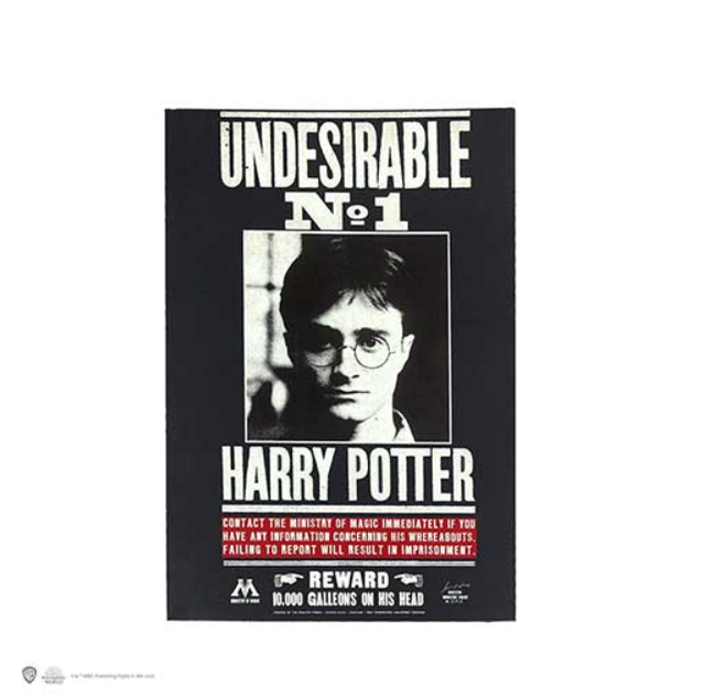 Carnet souple - Undesirable N°1