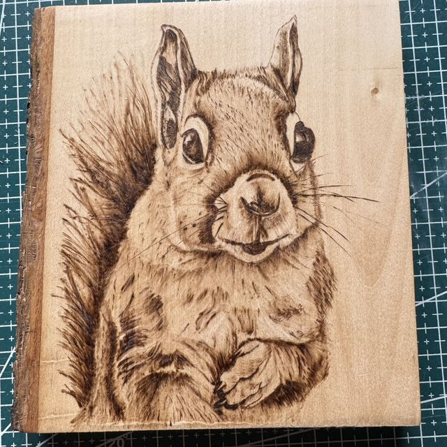 Wednesday 11th March All Day Squirrel  Pyrography Workshop in Ecclesall Woods All day