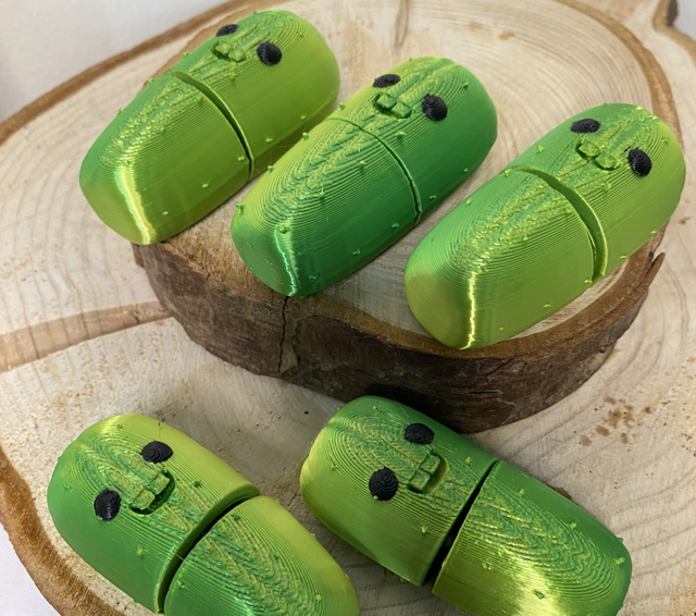 Cacto