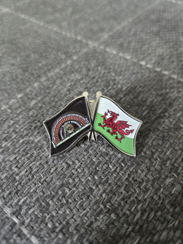 0802 Badge Welsh Flag.