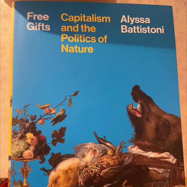 Free Gifts Alyssa Battistoni