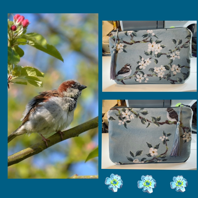 Sparrow in blossom - the Velvet Series