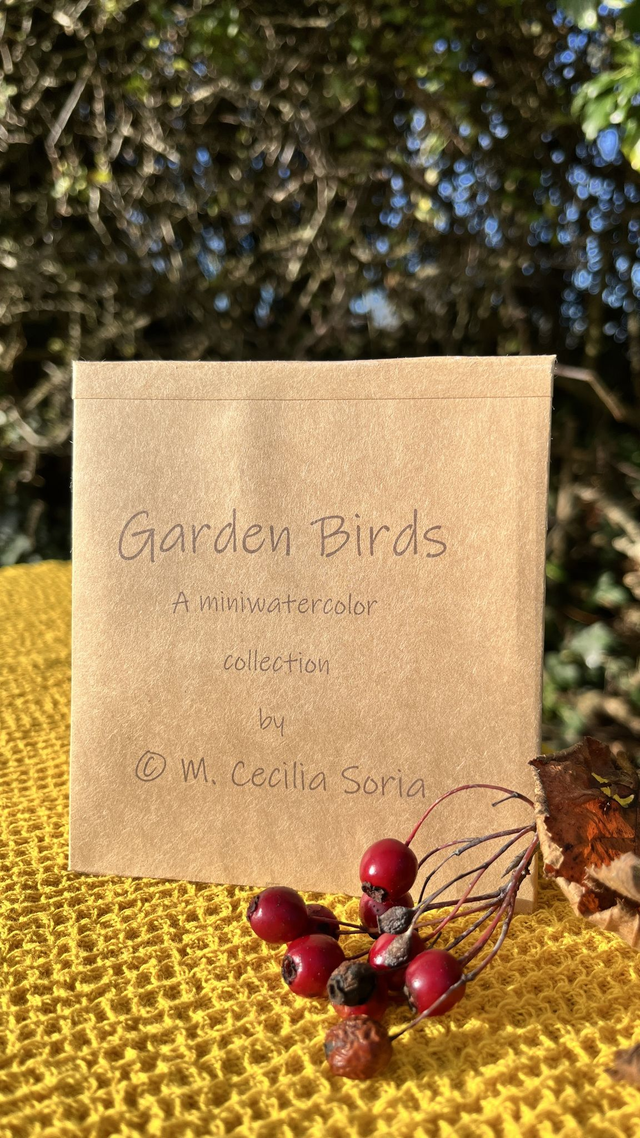 Garden birds 