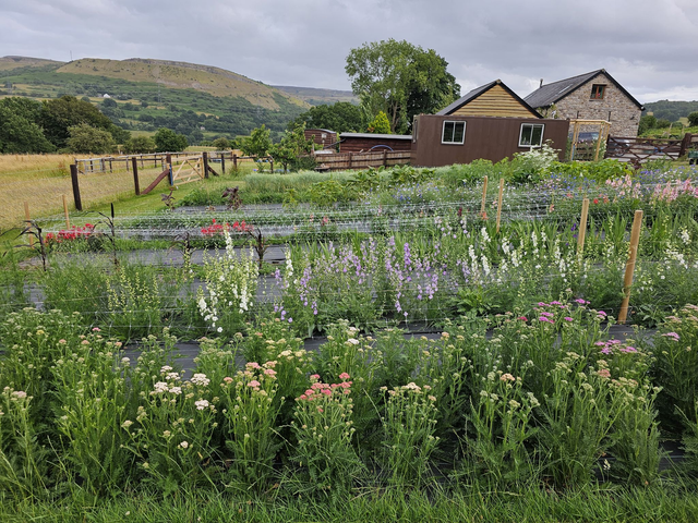 Brush Strokes & Blooms - Tuesday 19th August - 9am - 1pm