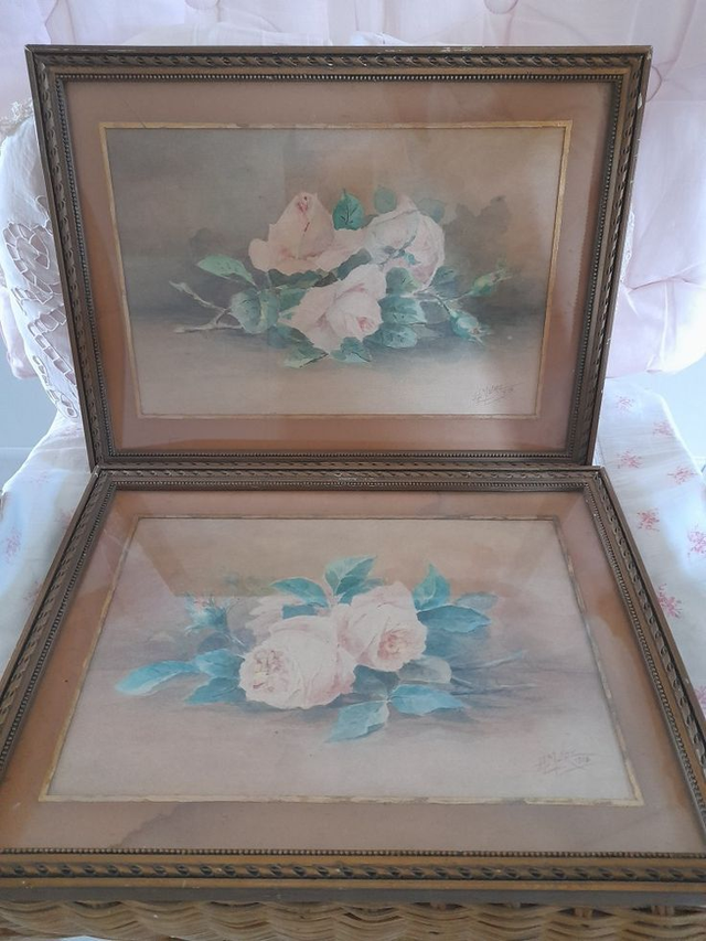 Aquarelles anciennes de roses encadrées