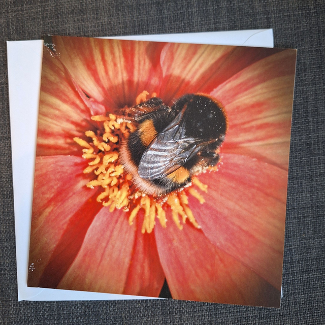 Flower and nature greeting card (with envelope) - bee (edition 3)