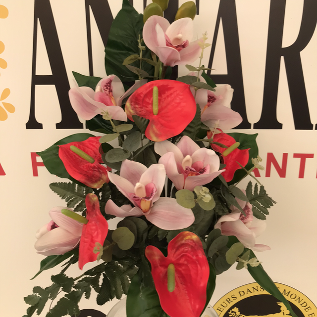 BUCARO ANTHURIUM I ORQUIDEA