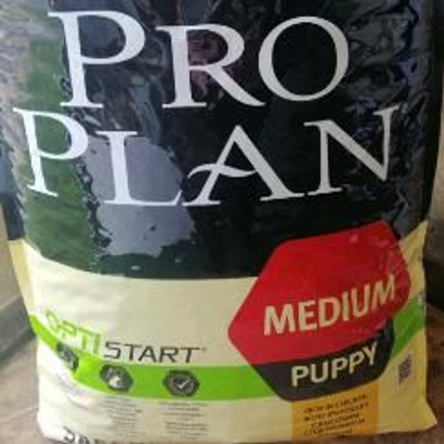 puppy medium 18 kg poulet