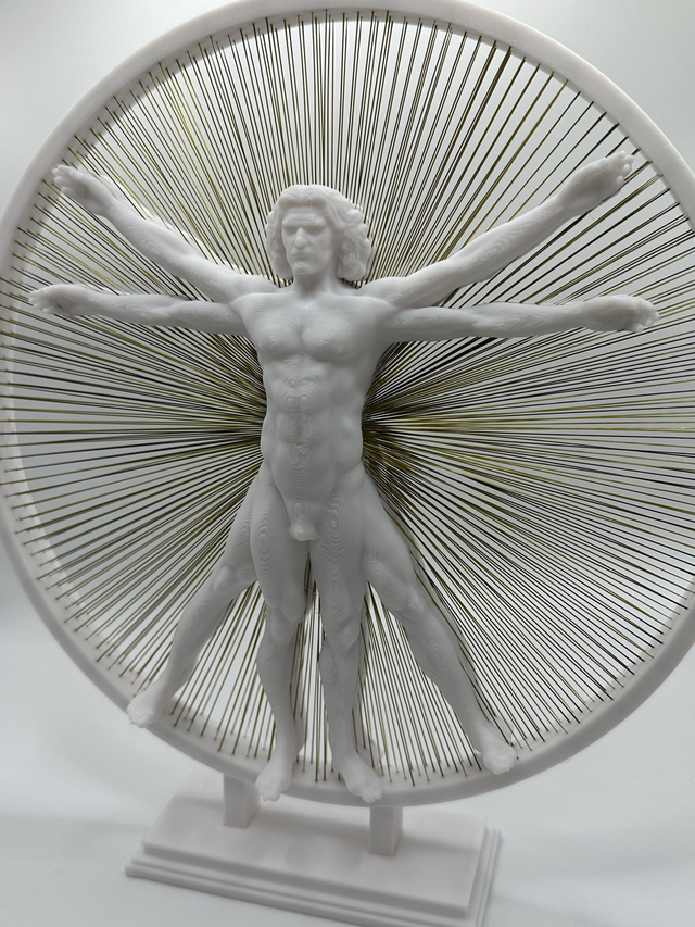 The Vitruvian Man