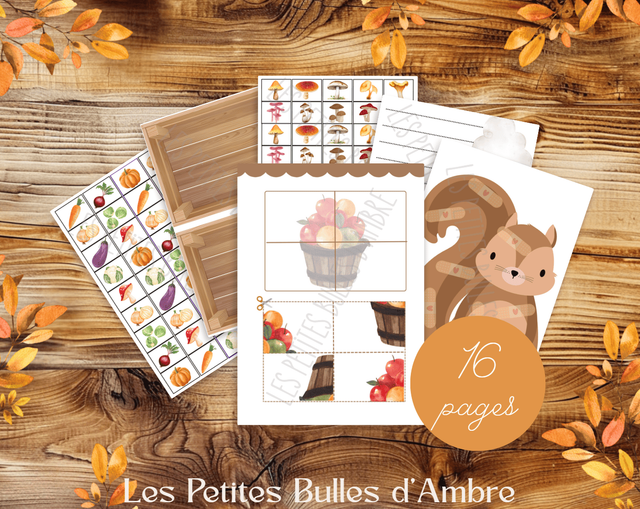 Activité Découpage