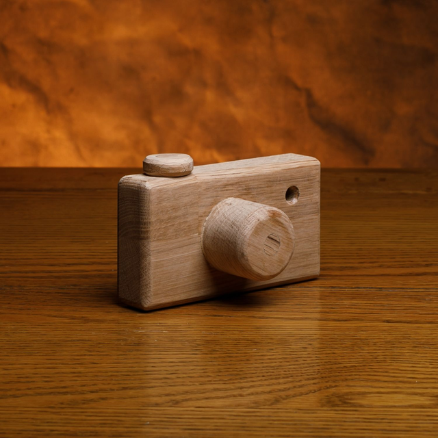 Wooden Camera