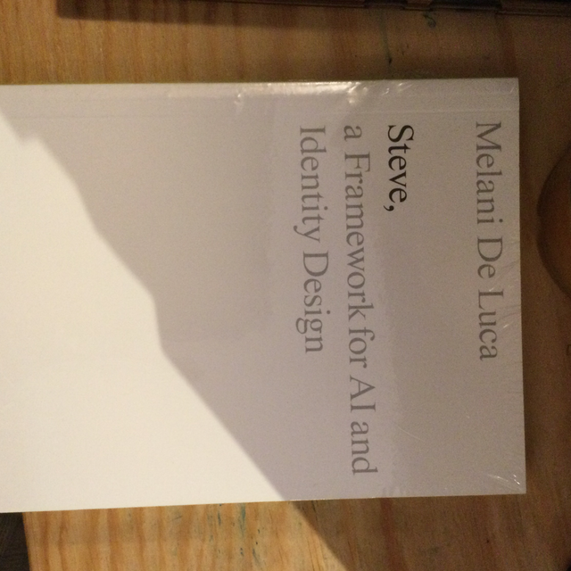 Steve, Framework For Ai