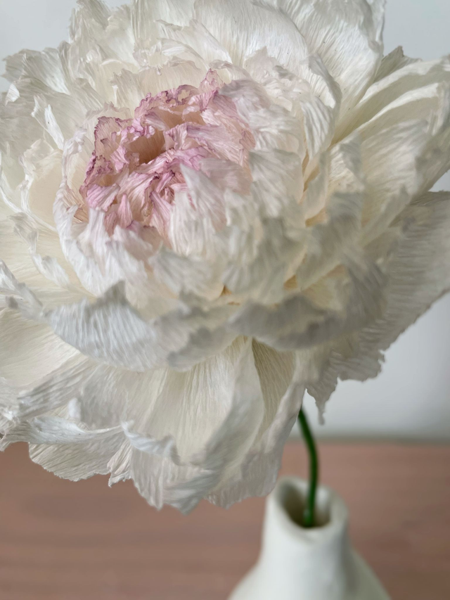 Pivoine "Almaé" avec son vase artisanal offert