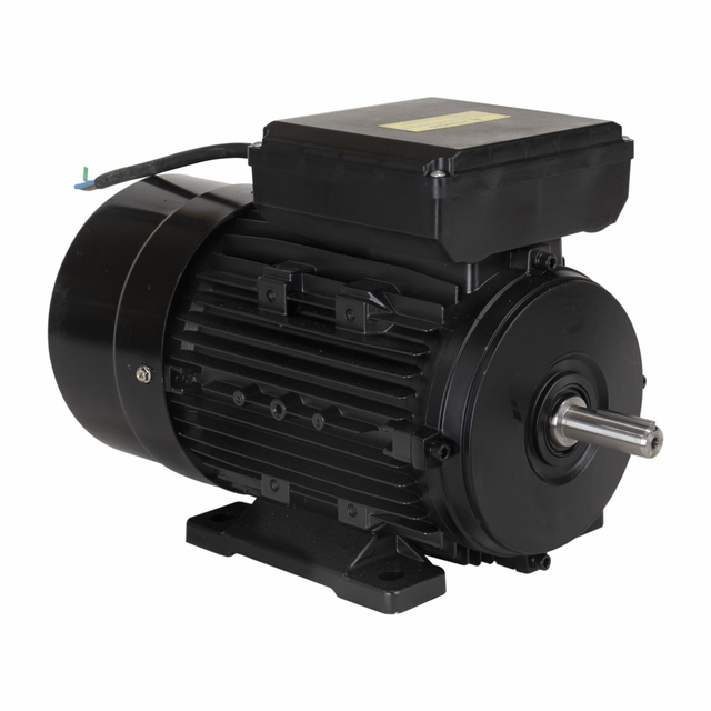 YL100L1-4 MOTOR ELETR MONO LYNUS 3,0CV 4P IP55 BIVOLT