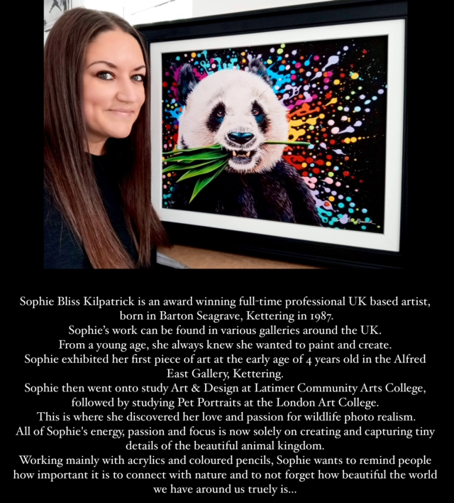 Adult Colouring Book - Splat Designs