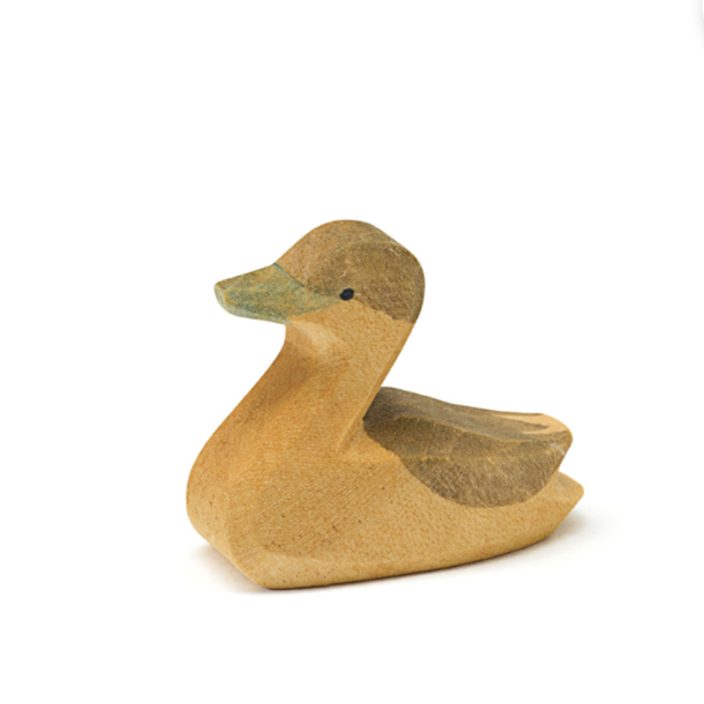 Ostheimer Kanadagans klein