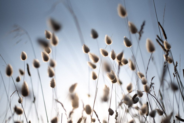 Vue sur l’océan 8