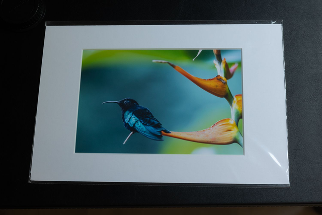 Tirage illimité Saphir avec passe-partout 