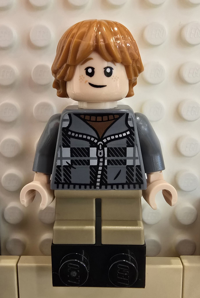 LEGO hp496 Ron Weasley Minifigur