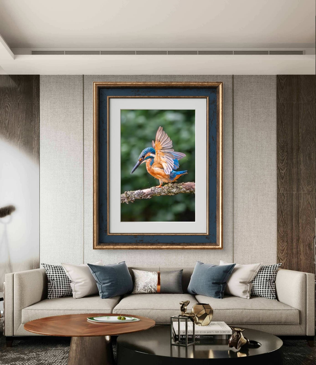 Birds - Kingfisher Wings Up - Print Only