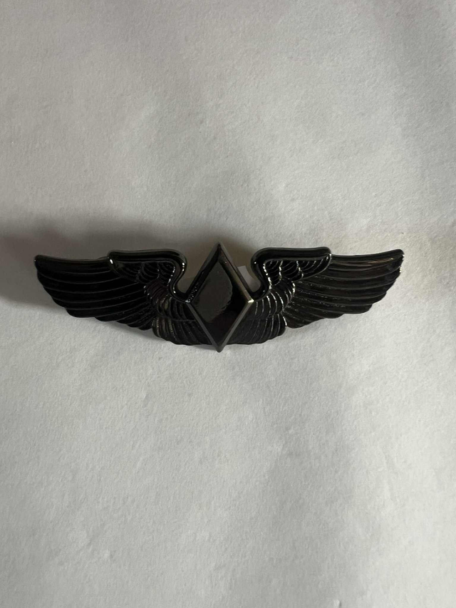 Brevet de pilote WAPS grand modèle