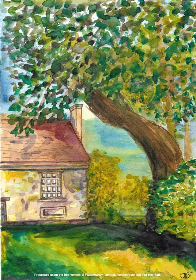 Summer Retreat Cottage