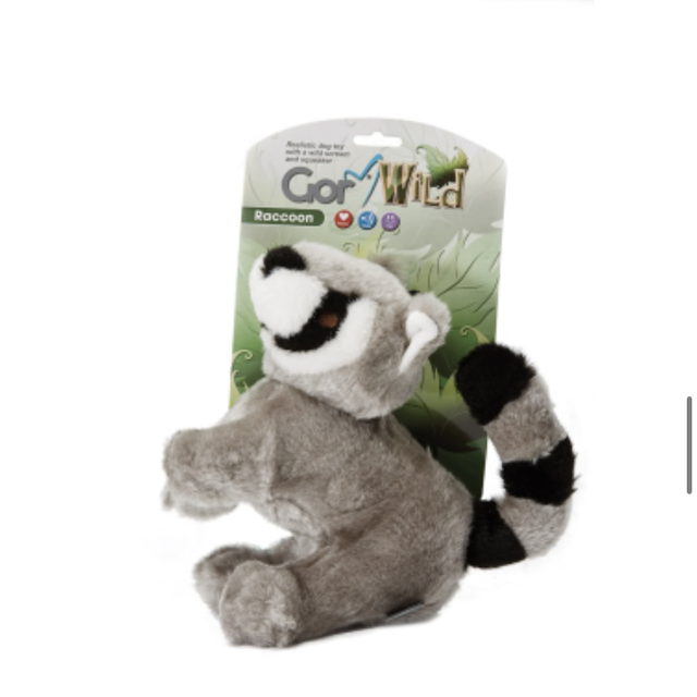 GOR Wild Raccoon (20cm)