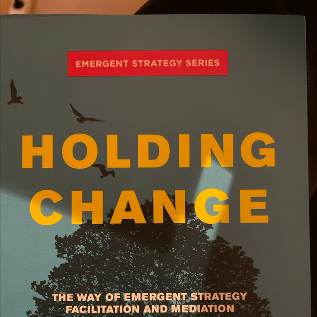 Holding Change Adrienne Maree Brown