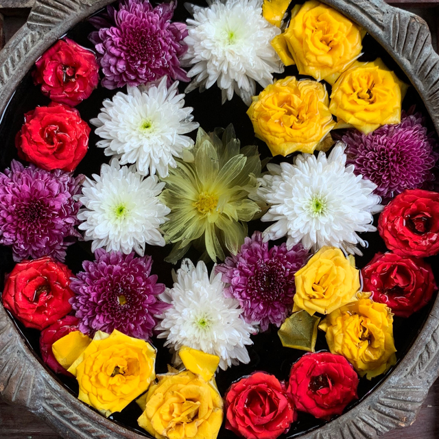 RESERVA: yoga y plantas medicinales