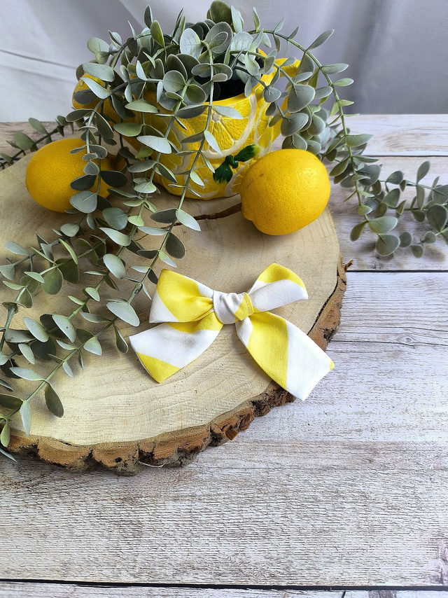 Barrette "Zeste Rayé"