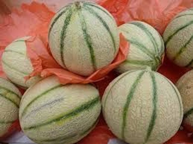 MELONI RETTATI DOLCISSIMI- 800gr cca