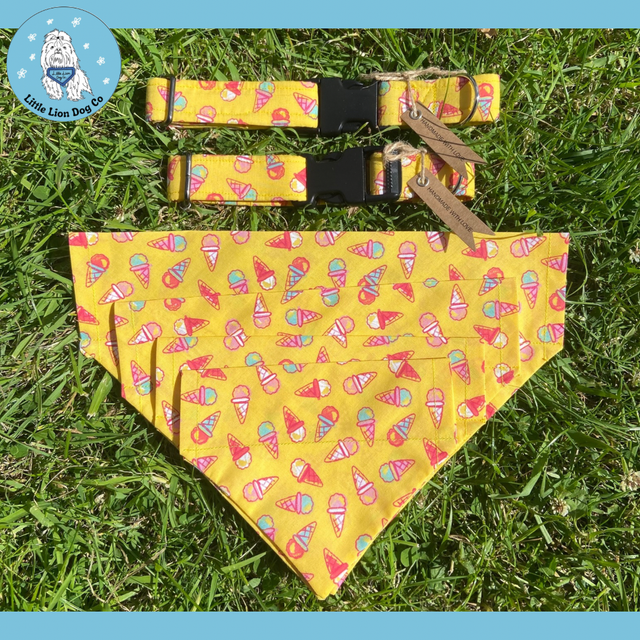 ‘Crazy for Cones’ Handmade dog accessories 