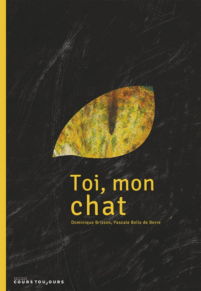 Toi, mon chat, de Dominique Brisson