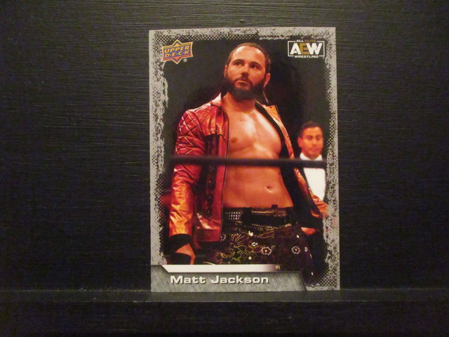 Matt Jackson - All Elite AEW Original Upper Deck Trading Card #55